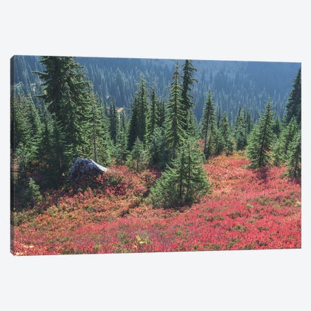 Colors Of Fall Canvas Print #LRH619} by Louis Ruth Canvas Artwork