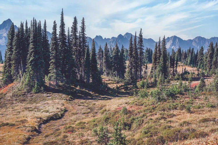 Rugged Bliss by Louis Ruth wall art