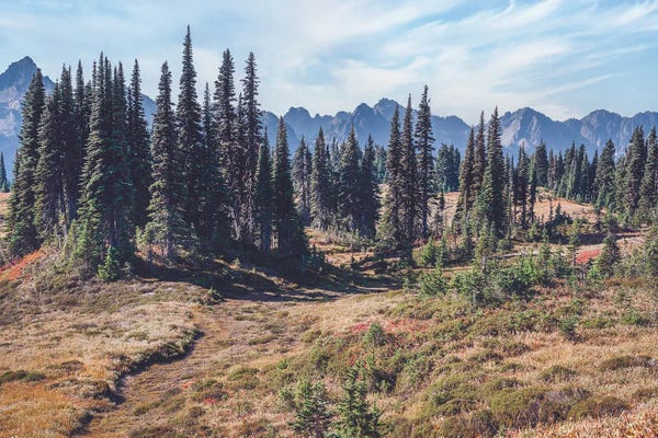 Louis Ruth: Rugged Bliss by Louis Ruth