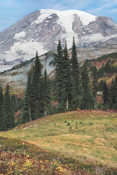 Louis Ruth: Going Vertical by Louis Ruth