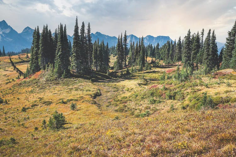 Paradise Valley by Louis Ruth wall art