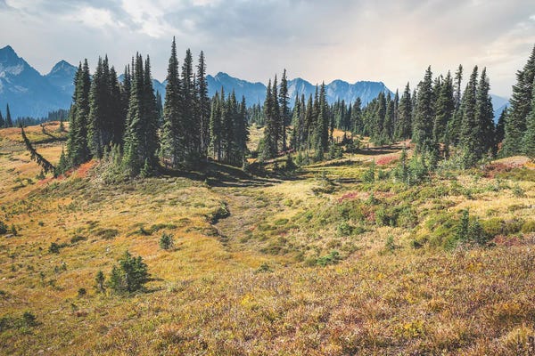 Louis Ruth: Paradise Valley by Louis Ruth