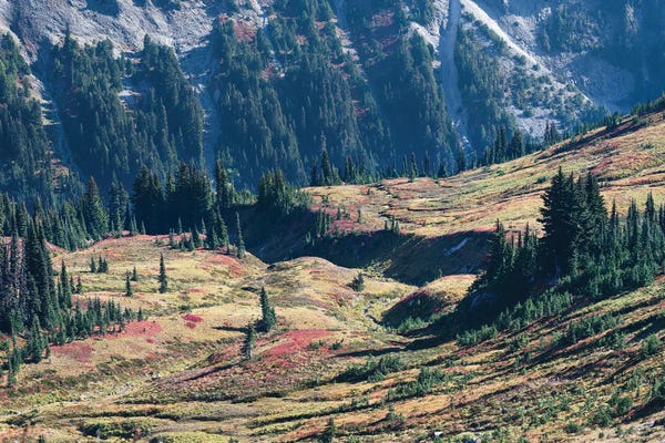 Louis Ruth: I'm Feeling The Fall by Louis Ruth