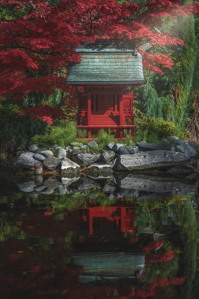 Louis Ruth: In The Light by Louis Ruth