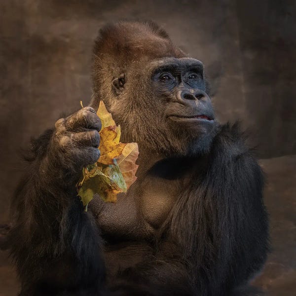 Louis Ruth: Smile Its Autumn by Louis Ruth