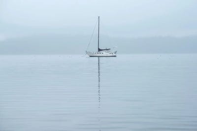 Sitting Solo by Louis Ruth canvas print