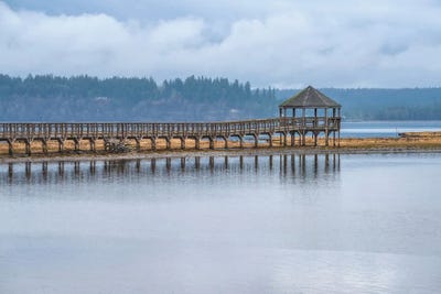 Preserve It by Louis Ruth multi panel art