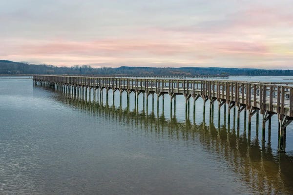 Louis Ruth: Determination by Louis Ruth