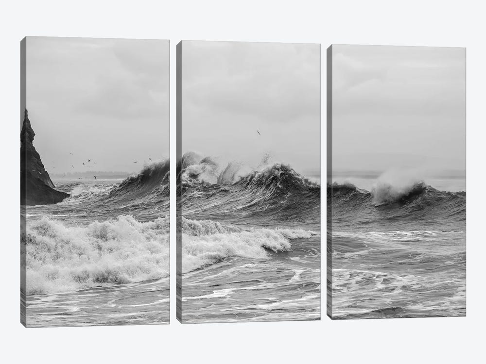 Dancing Waves by Louis Ruth 3-piece Canvas Art Print