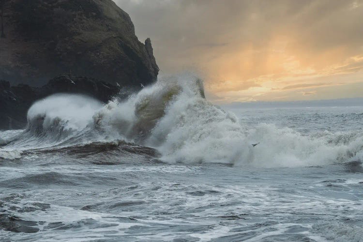 Serene Brutality by Louis Ruth wall art
