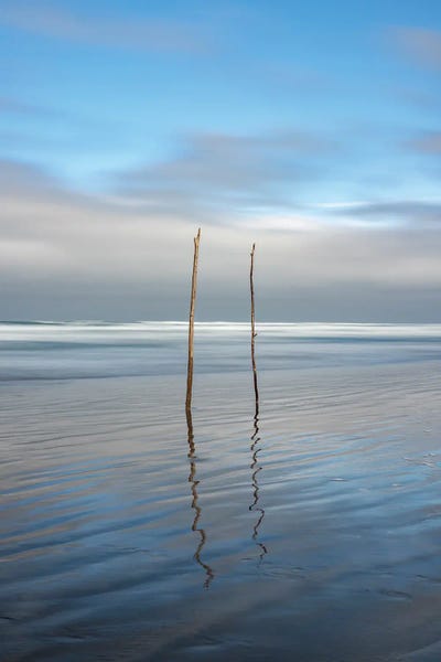 Sticks In The Sand by Louis Ruth canvas print