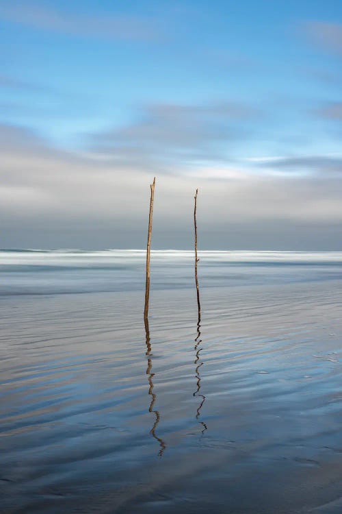 Sticks In The Sand