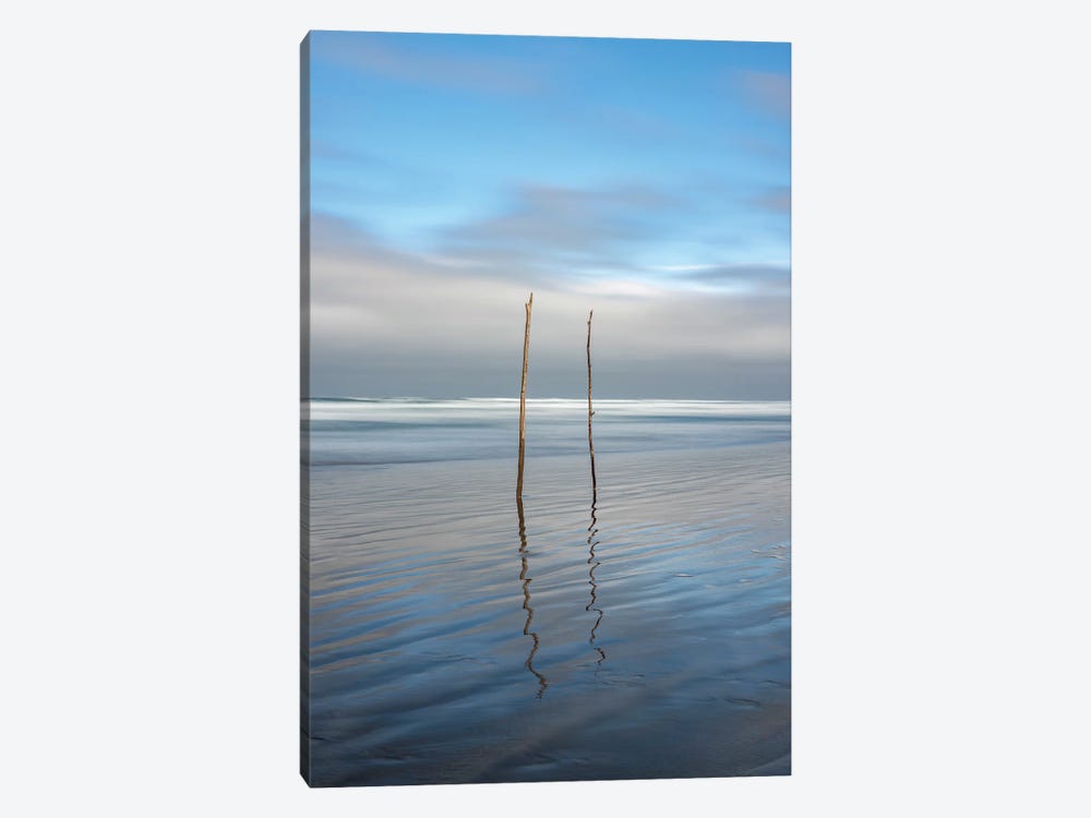 Sticks In The Sand by Louis Ruth 1-piece Canvas Wall Art