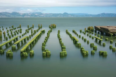 Where To Step by Louis Ruth framed canvas print