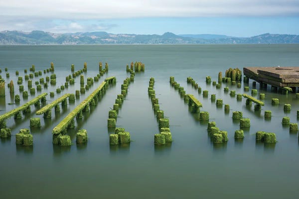 Louis Ruth: Where To Step by Louis Ruth