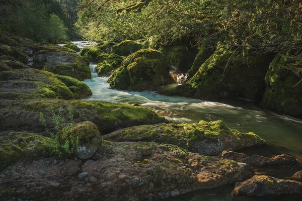 Louis Ruth: Deschutes River by Louis Ruth