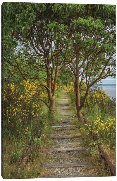Reclaimed By Mother Nature Canvas Art Print - Louis Ruth