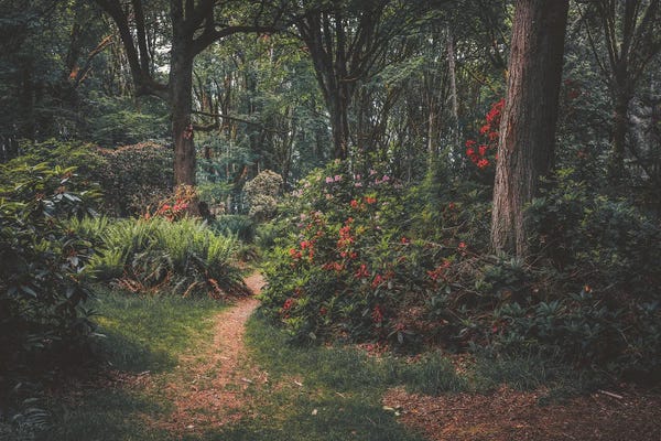 Louis Ruth: A Magical Stroll by Louis Ruth