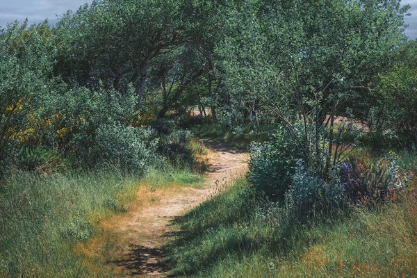 Louis Ruth: Discovering Serenity by Louis Ruth