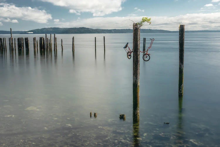 Time-Worn Pilings