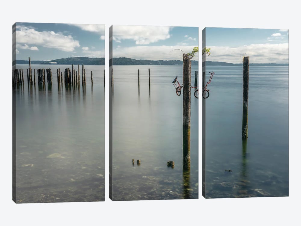 Time-Worn Pilings by Louis Ruth 3-piece Canvas Art Print
