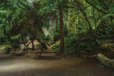 Ethereal Pathways by Louis Ruth framed canvas print