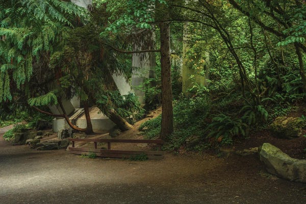 Louis Ruth: Ethereal Pathways by Louis Ruth