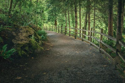 A Serene Journey by Louis Ruth framed canvas print
