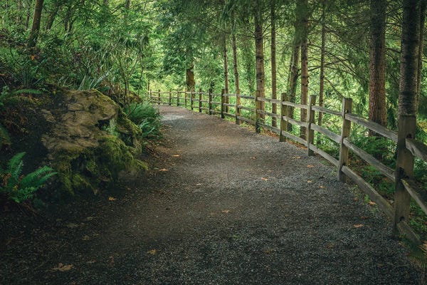 Louis Ruth: A Serene Journey by Louis Ruth