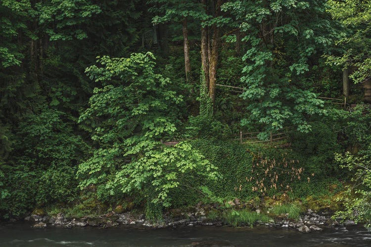 Embracing Nature's Labyrinth