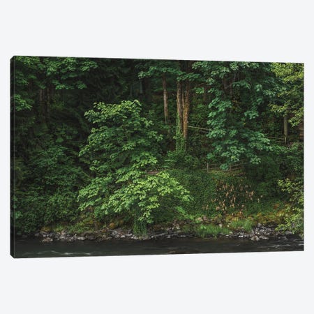 Embracing Nature's Labyrinth Canvas Print #LRH694} by Louis Ruth Canvas Print