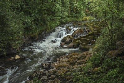 A Symphony Of Nature by Louis Ruth framed canvas print