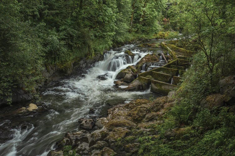 A Symphony Of Nature by Louis Ruth wall art