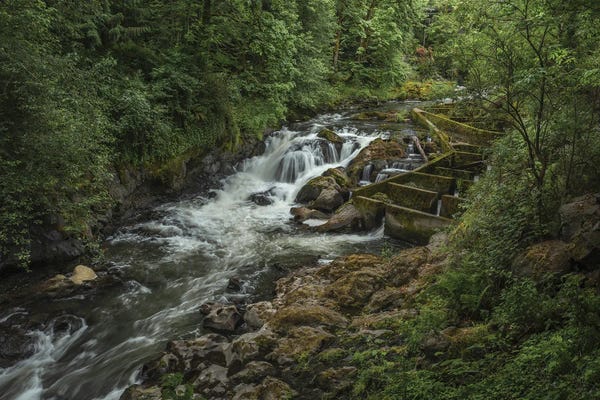 Louis Ruth: A Symphony Of Nature by Louis Ruth