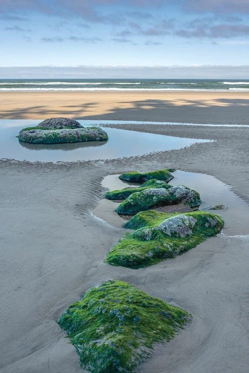 Algae's Embrace by Louis Ruth wall art