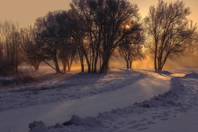 My Ray Of Light by Louis Ruth canvas print