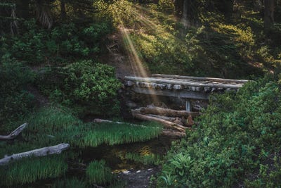 A Serene Morning Stroll by Louis Ruth canvas print