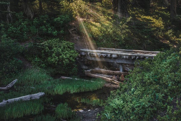 Louis Ruth: A Serene Morning Stroll by Louis Ruth