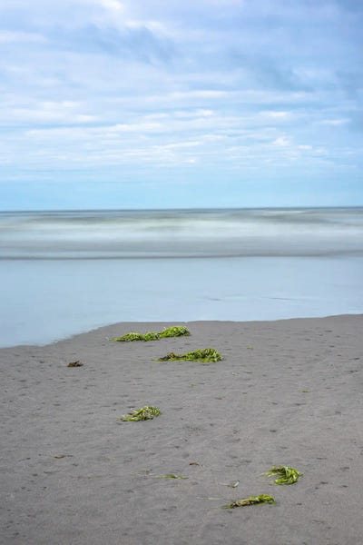 Louis Ruth: Seaweed Dreams by Louis Ruth