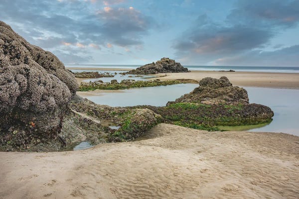 Captivating Tide Pools