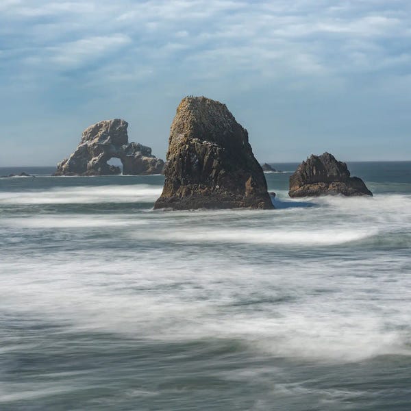 Louis Ruth: The Silent Watchers by Louis Ruth