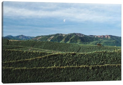 Moonlit Mountains Canvas Art Print - Louis Ruth