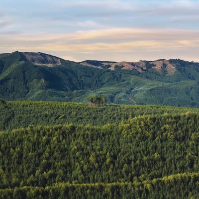 Picture Window by Louis Ruth framed wall art