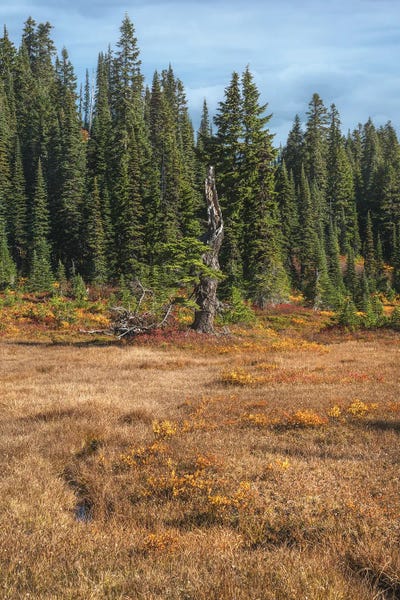 Louis Ruth: Autumn's Radiance by Louis Ruth