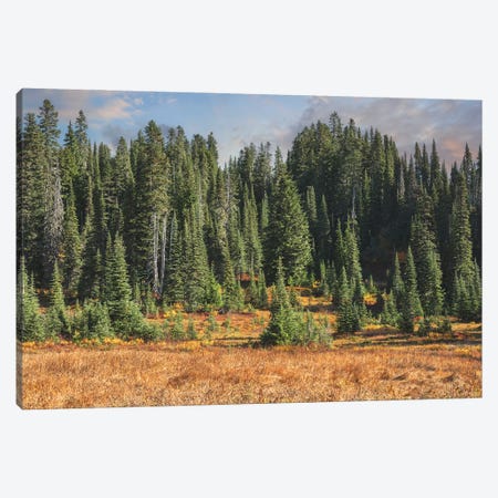 A Tapestry Of Autumn Canvas Print #LRH737} by Louis Ruth Canvas Art