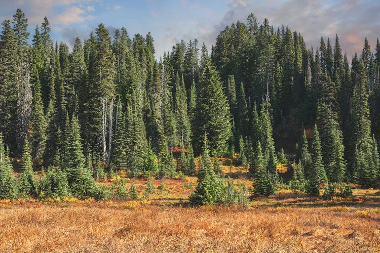 A Tapestry Of Autumn