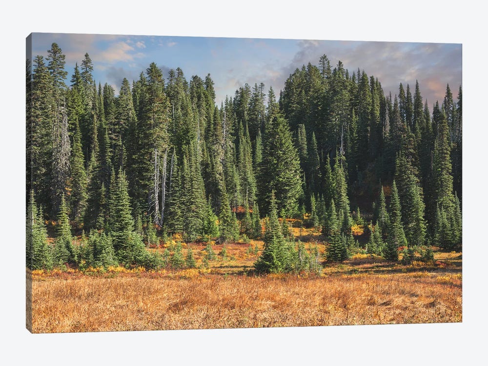 A Tapestry Of Autumn by Louis Ruth 1-piece Canvas Print