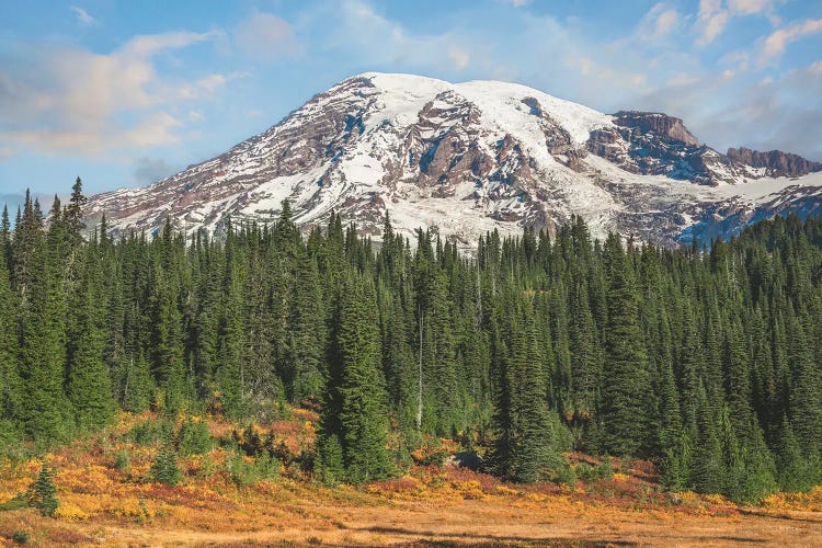 Autumns Embrace Mount Rainier