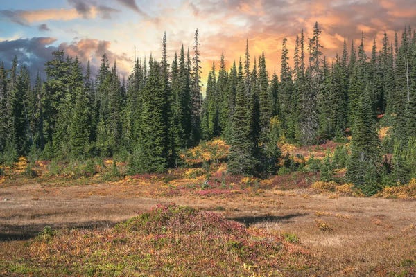 Louis Ruth: A Seasonal Spectacle by Louis Ruth