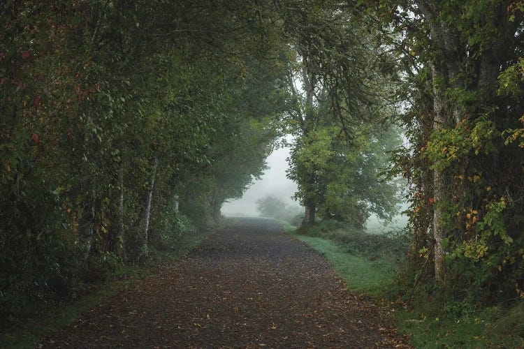 Whispers Of Autumn by Louis Ruth wall art